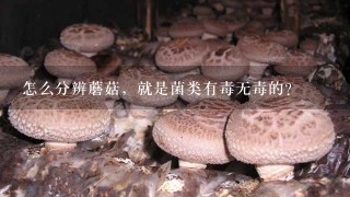 怎么分辨蘑菇，就是菌类有毒无毒的？