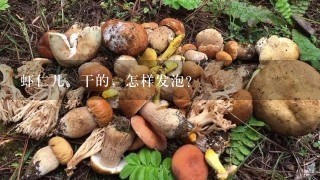 虾仁儿。干的，怎样发泡？