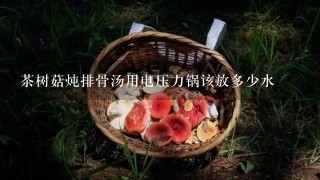 茶树菇炖排骨汤用电压力锅该放多少水