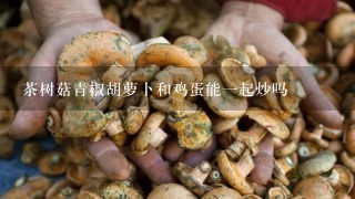 茶树菇青椒胡萝卜和鸡蛋能1起炒吗