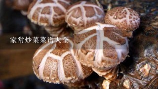 家常炒菜菜谱大全