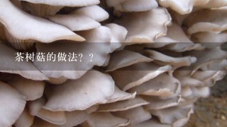 茶树菇的做法？？