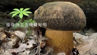 排骨汤怎么炖最好喝