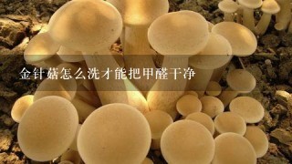 金针菇怎么洗才能把甲醛干净