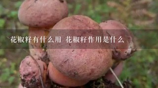 花椒籽有什么用 花椒籽作用是什么