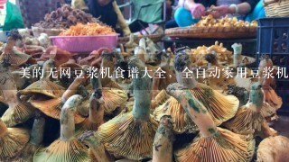 美的无网豆浆机食谱大全，全自动家用豆浆机哪款保温效果好