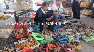 用茶籽饼杀死的鱼到底能不能吃？