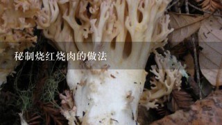 秘制烧红烧肉的做法