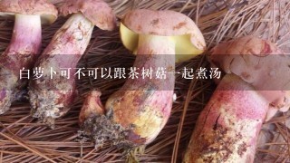 白萝卜可不可以跟茶树菇1起煮汤