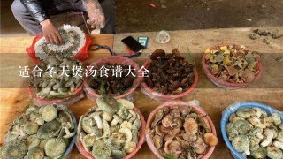 适合冬天煲汤食谱大全