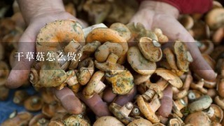 干草菇怎么做？