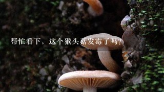 帮忙看下，这个猴头菇发霉了吗？