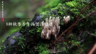 8种秋季养生汤煲汤食谱