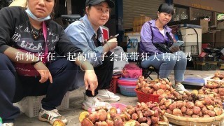 和狗养在1起的鸭子会携带狂犬病毒吗