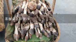 茶树菇怎样煲汤?