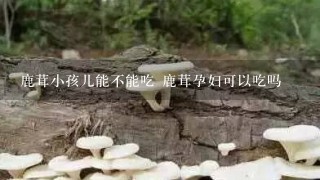 鹿茸小孩儿能不能吃 鹿茸孕妇可以吃吗