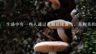 生活中有1些人通过花椒祛除湿气，花椒真的可以祛除