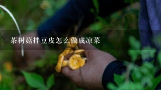 茶树菇拌豆皮怎么做成凉菜