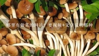 哪里有做菜的网站？要视频+文字说明那种