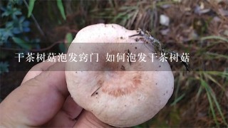 干茶树菇泡发窍门 如何泡发干茶树菇