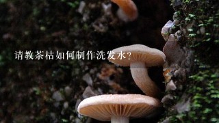 请教茶枯如何制作洗发水？