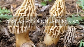 煲大骨头汤放什么中药材，对身体有好处？