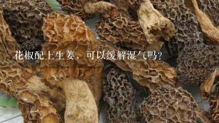 花椒配上生姜，可以缓解湿气吗？