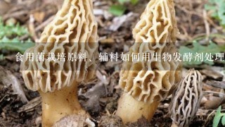 食用菌栽培原料、辅料如何用生物发酵剂处理？