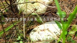 为什么丁香猴头菇茶 有养胃暖胃效果？