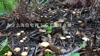 为什么海信电视下不了虎牙直播？