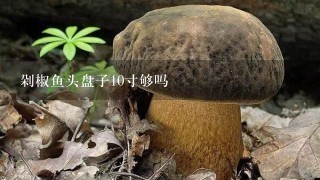 剁椒鱼头盘子10寸够吗