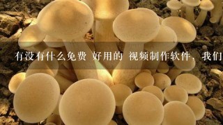 有没有什么免费 好用的 视频制作软件，我们想做1个相片集，再加1段视频，然后直接刻碟出来