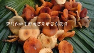 梦幻西游手游厨艺菜谱怎么获得