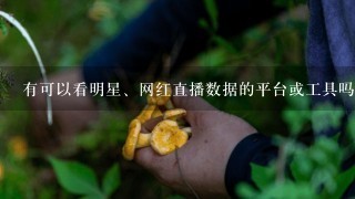 有可以看明星、网红直播数据的平台或工具吗？