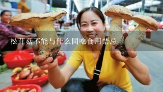 松茸菇不能与什么同吃食用禁忌