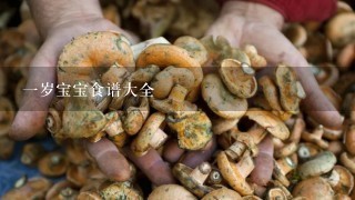 1岁宝宝食谱大全