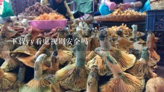 下载yy看电视剧安全吗