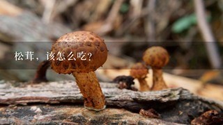 松茸，该怎么吃？