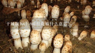 干辣椒10:1.6青红花椒什么意思？