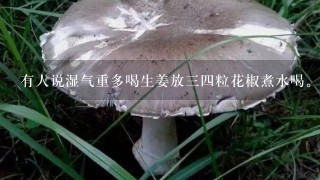 有人说湿气重多喝生姜放34粒花椒煮水喝。这样对吗