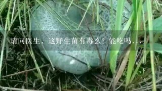 请问医生，这野生菌有毒么？能吃吗...