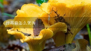 竹荪菇怎么煲汤