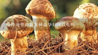 排骨汤里面放茶树菇孕妇可以吃吗