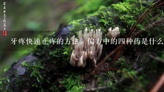 牙疼快速止疼的方法，偏方中的4种药是什么呢？