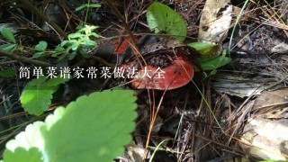 简单菜谱家常菜做法大全