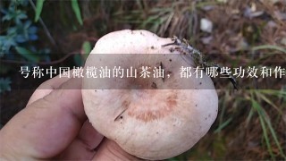 号称中国橄榄油的山茶油，都有哪些功效和作用呢？