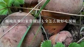 酱炖泥鳅的家常做法大全怎么做好吃视频