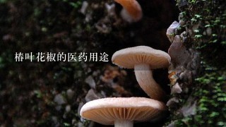 椿叶花椒的医药用途