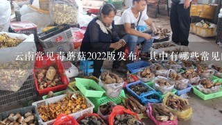 云南常见毒蘑菇2022版发布，其中有哪些常见的毒蘑菇