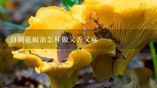 自制花椒油怎样做又香又麻